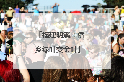 福建明溪：侨乡绿叶变金叶