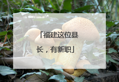 福建这位县长，有新职