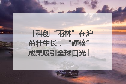 科创“雨林”在沪茁壮生长，“硬核”成果吸引全球目光