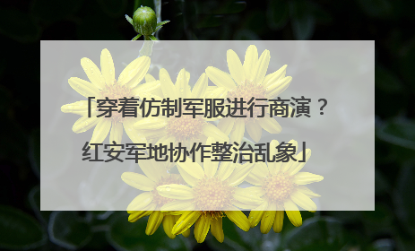 穿着仿制军服进行商演？红安军地协作整治乱象