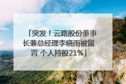 突发！云路股份董事长兼总经理李晓雨被留置 个人持股21%