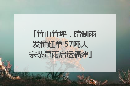竹山竹坪：晴制雨发忙赶单 57吨大宗茶冒雨启运福建