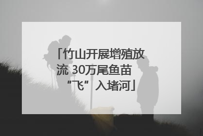 竹山开展增殖放流 30万尾鱼苗“飞”入堵河