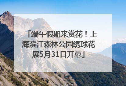 端午假期来赏花！上海滨江森林公园绣球花展5月31日开幕