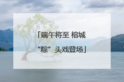 端午将至 榕城“粽”头戏登场