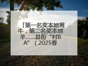 第一名奖本地黄牛，第二名奖本地羊……县街“村BA”（2025春季赛）圆满完赛