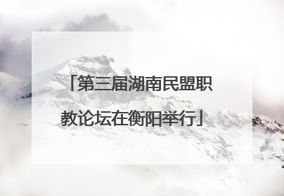 第三届湖南民盟职教论坛在衡阳举行