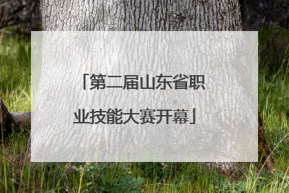 第二届山东省职业技能大赛开幕