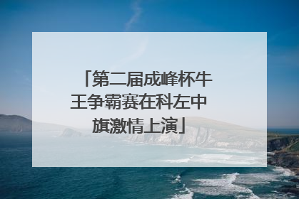 第二届成峰杯牛王争霸赛在科左中旗激情上演