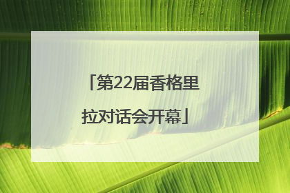 第22届香格里拉对话会开幕