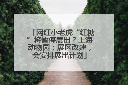 网红小老虎“红糖”将暂停展出？上海动物园：展区改建，会安排展出计划