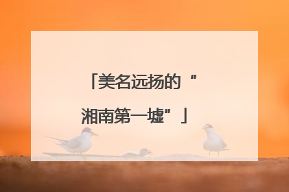 美名远扬的“湘南第一墟”