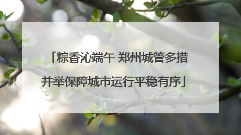 粽香沁端午 郑州城管多措并举保障城市运行平稳有序