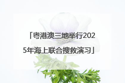 粤港澳三地举行2025年海上联合搜救演习