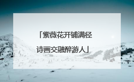 紫薇花开铺满径 诗画交融醉游人