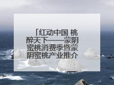 红动中国 桃醉天下——蒙阴蜜桃消费季暨蒙阴蜜桃产业推介会成功举办