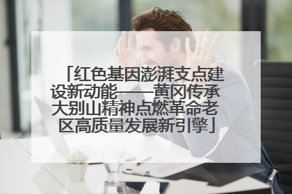 红色基因澎湃支点建设新动能——黄冈传承大别山精神点燃革命老区高质量发展新引擎