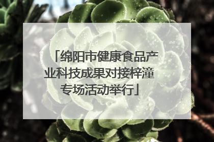 绵阳市健康食品产业科技成果对接梓潼专场活动举行