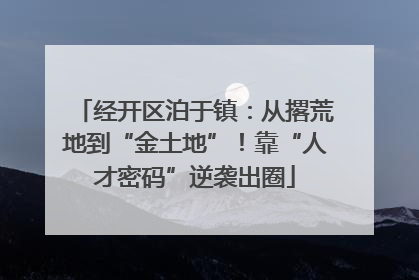 经开区泊于镇：从撂荒地到“金土地”！靠“人才密码”逆袭出圈