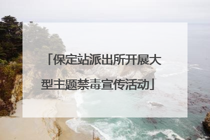 保定站派出所开展大型主题禁毒宣传活动