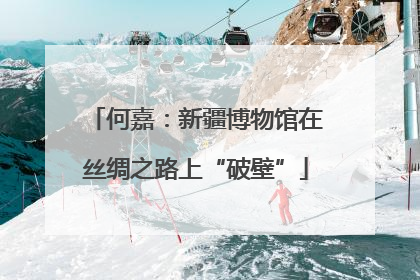 何嘉：新疆博物馆在丝绸之路上“破壁”