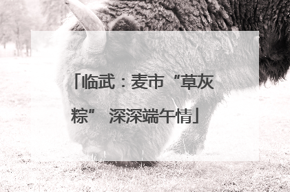 临武：麦市“草灰粽” 深深端午情