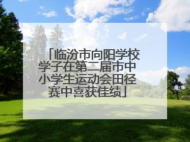 临汾市向阳学校学子在第二届市中小学生运动会田径赛中喜获佳绩