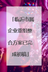 临沂市属企业重组整合方案已完成初稿