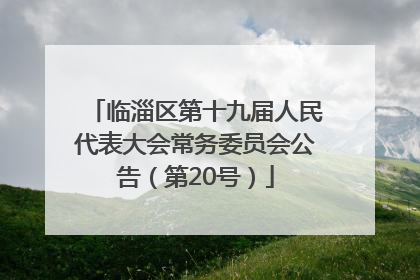 临淄区第十九届人民代表大会常务委员会公告（第20号）