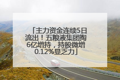 主力资金连续5日流出！五粮液集团掏6亿增持，持股微增0.12%显乏力