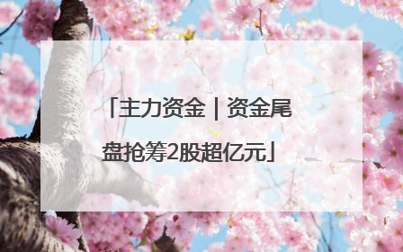 主力资金｜资金尾盘抢筹2股超亿元