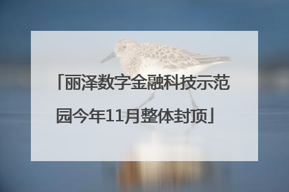 丽泽数字金融科技示范园今年11月整体封顶