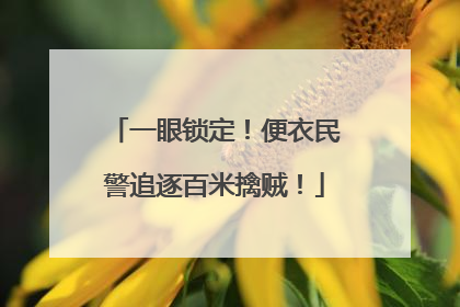 一眼锁定！便衣民警追逐百米擒贼！