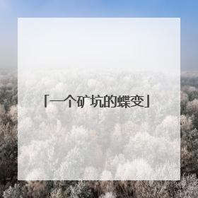 一个矿坑的蝶变