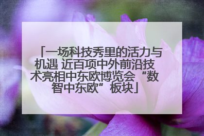 一场科技秀里的活力与机遇 近百项中外前沿技术亮相中东欧博览会“数智中东欧”板块
