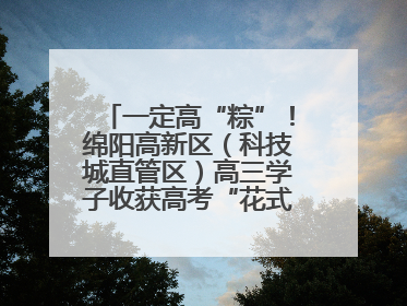 一定高“粽”！绵阳高新区（科技城直管区）高三学子收获高考“花式”祝福