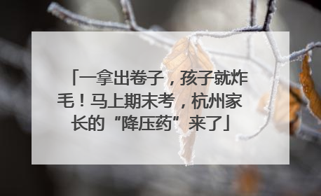 一拿出卷子，孩子就炸毛！马上期末考，杭州家长的“降压药”来了
