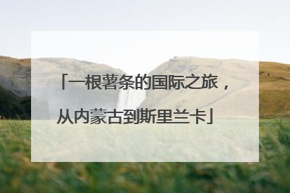 一根薯条的国际之旅，从内蒙古到斯里兰卡