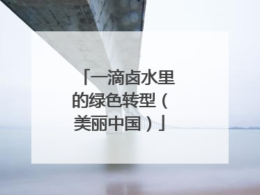 一滴卤水里的绿色转型（美丽中国）