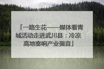 一路生花——媒体看青城活动走进武川县：冷凉高地奏响产业强音