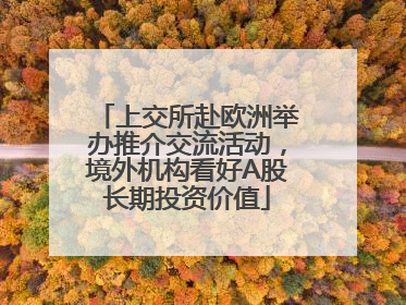 上交所赴欧洲举办推介交流活动，境外机构看好A股长期投资价值