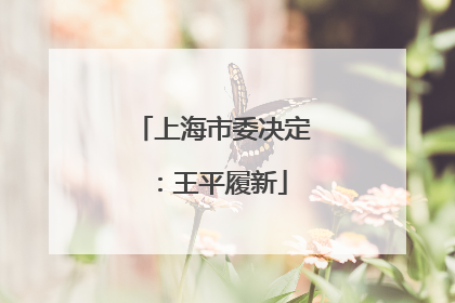 上海市委决定：王平履新