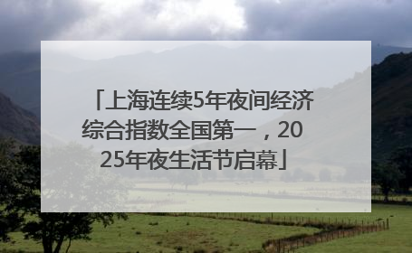 上海连续5年夜间经济综合指数全国第一，2025年夜生活节启幕