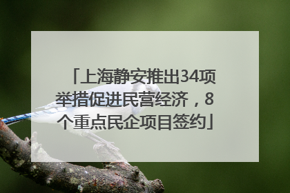 上海静安推出34项举措促进民营经济，8个重点民企项目签约