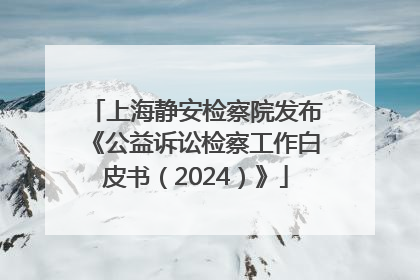 上海静安检察院发布《公益诉讼检察工作白皮书（2024）》