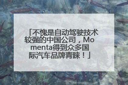 不愧是自动驾驶技术较强的中国公司，Momenta得到众多国际汽车品牌青睐！