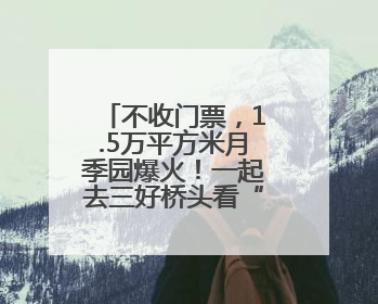 不收门票，1.5万平方米月季园爆火！一起去三好桥头看“龙凤呈祥”