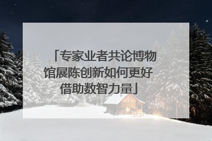 专家业者共论博物馆展陈创新如何更好借助数智力量