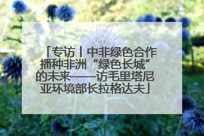 专访丨中非绿色合作播种非洲“绿色长城”的未来——访毛里塔尼亚环境部长拉格达夫