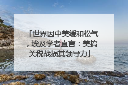 世界因中美缓和松气，埃及学者直言：美搞关税战损其领导力